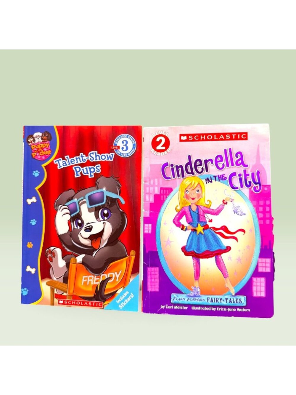 Scholastic Level 2 Reader Book Set Puppy in My Pocket Cinderella in the City